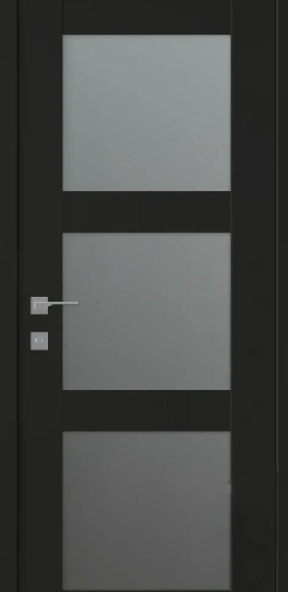 Modern door with glass panels and black frame
