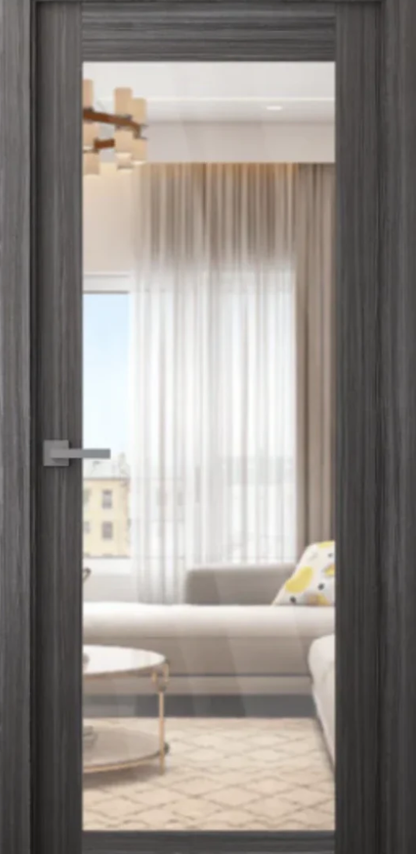 Modern interior door with a view of a living room