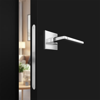 Modern door handle on a black door with a blurred interior background