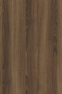 Pecan Nutwood