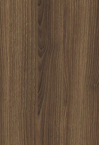 Pecan Nutwood