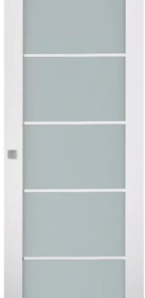 Smart Pro 5 Lite Vetro Polar White Barn Doors