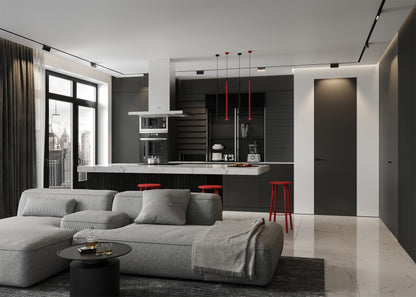 Modern living room with a gray door